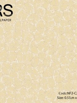 วอลเปเปอร์ลายวงกลมโมเดิร์นโทนสีครีมเข้มอมทอง NF2-C21