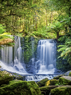 วอลเปเปอร์ภาพน้ำตก (สั่งผลิต)