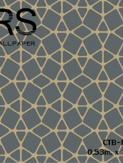 วอลเปเปอร์โมเดินท์ กราฟฟิคสีดำ (Moroccan Style)CTB-D24