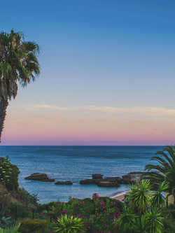 วอลเปเปอร์ภาพทะเล (สั่งผลิต)