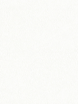 วอลเปเปอร์พื้นสีขาวเทกเจอร์ผิวปูนผนังบ้านผิวมัน BES2-B112W