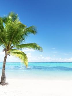 วอลเปเปอร์ภาพทะเล (สั่งผลิต)