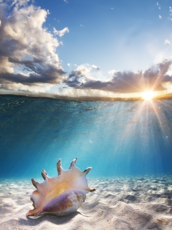 วอลเปปอร์ ภาพทะเล ชายหาด