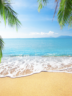 วอลเปเปอร์ภาพทะเล (สั่งผลิต)