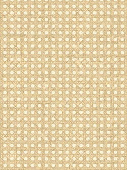 วอลเปเปอร์ลายสาน สีน้ำตาลอ่อน AVA-D49W