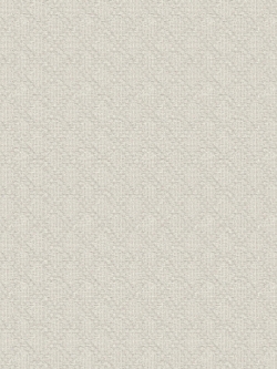 วอลเปเปอร์ลายเสื่อสานพื้นโทนสีเงิน BES3-B93W