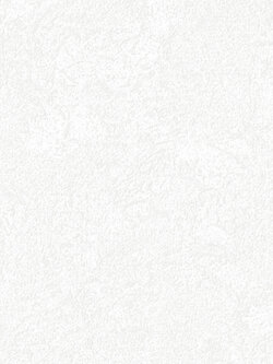 วอลเปเปอร์ลายปูนเปลือยคอนกรีต สีขาวอมเทาอ่อน DES-F11W