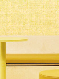 วอลเปเปอร์สีพื้น เหลือง PRI-D55W