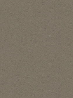 วอลเปเปอร์พื้นสีน้ำตาล DD2-F52W