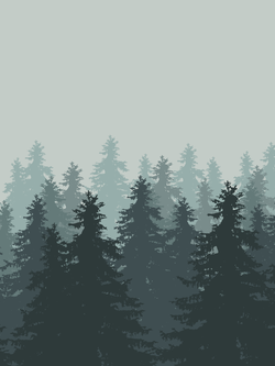 วอลเปเปอร์ภาพป่าเขตร้อน Tropical (สั่งผลิต)