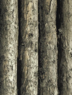 วอลเปเปอร์ลายไม้ AR-B31