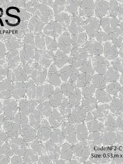 วอลเปเปอร์ลายวงกลมโมเดิร์นโทนสีเทาควันบุหรี่ NF2-C14