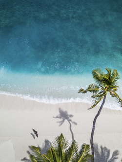 วอลเปเปอร์ภาพทะเล (สั่งผลิต)