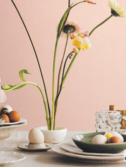 วอลเปเปอร์ สีชมพู PLA1-F35W