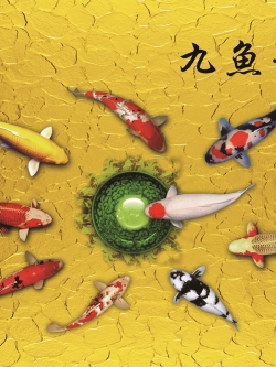 ปลาคราฟ เสริมฮวงจุ้ย