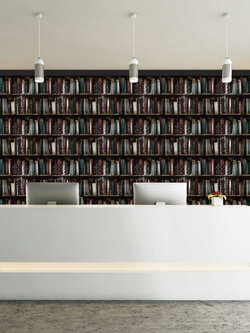 วอลเปเปอร์ลายชั้นหนังสือ CAS2-D51