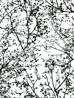 วอลเปเปอร์ โมเดิร์น AT-F29