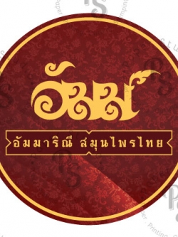 ผลงาน ออกแบบโลโก้ สไตล์ไทย