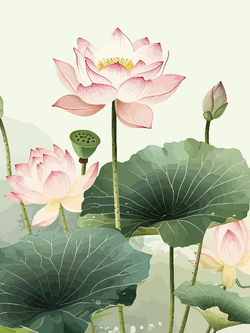 วอลเปเปอร์ภาพดอกบัว (สั่งผลิต)