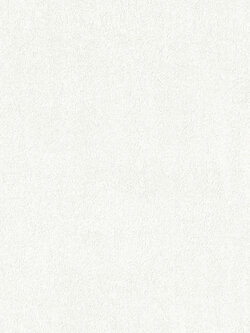 วอลเปเปอร์ ลายปูนเปลือยสีขาว BES5-B78W