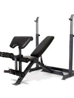 ขายม้าดัมเบลพร้อม rack รุ่น IRON 308