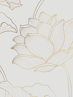 วอลเปเปอร์ภาพดอกบัว (สั่งผลิต)