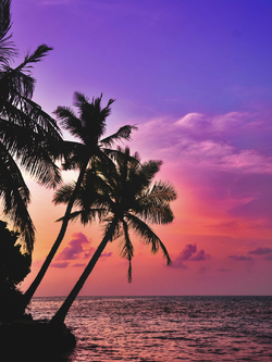 วอลเปเปอร์ภาพทะเล (สั่งผลิต)