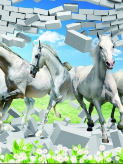 วอลเปเปอร์ เสริมฮวงจุ้ย ภาพรูปม้า 002