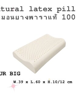 Rehab หมอนยางพารา curve หมอนรองคอ กันกรน