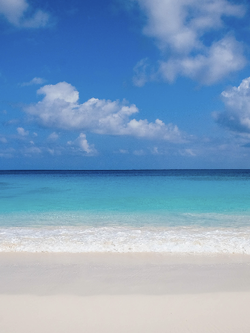 วอลเปเปอร์ภาพทะเล (สั่งผลิต)