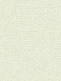 วอลเปเปอร์สีพื้น เขียวอ่อนพาสเทล EPI-F17W