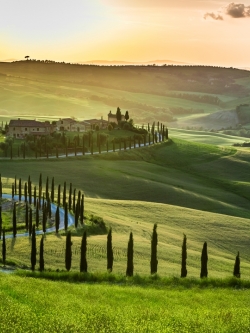 ภาพวิวสั่งผลิต ป่าไม้เทือกเขา