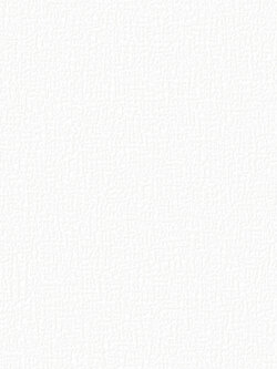 วอลเปเปอร์สีขาว DES-F40W