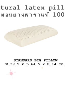 Rehab หมอนยางพารา เพื่อสุขภาพ รุ่น Standard Queen นอนหลับสบายตลอดคืนไม่ปวดคอ