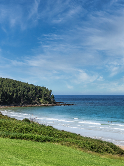 วอลเปเปอร์ภาพทะเล (สั่งผลิต)