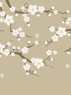 วอลเปเปอร์ภาพซากุระ (สั่งผลิต)