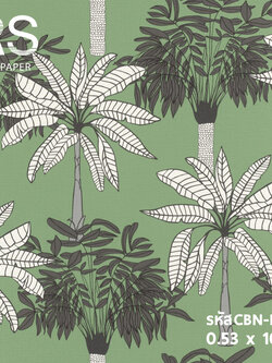 วอลเปเปอร์ลายใบไม้ต้นไม้ ปาล์ม พื้นเขียว (Tropical Style) CBN-B19