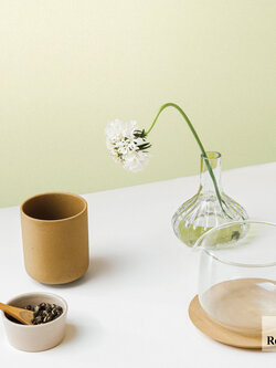 วอลเปเปอร์ สีเขียวอ่อนอมเหลืองอ่อน KARA-F33W