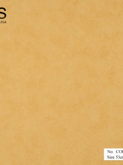 วอลเปเปอร์ ลายปูนเปลือย สีส้ม No.COL-B15