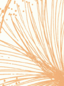 วอลเปเปอร์กราฟฟิค VE-F11