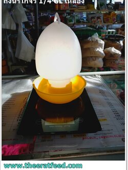 ขวดน้ำไก่จิ๋ว Extra-P ขนาด 1/14 GL สีเหลือง เหนียว ทนทาน