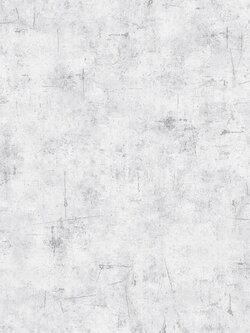 วอลเปเปอร์ลายปูนเปลือยคอนกรีต สีเทาอ่อนสว่าง AW6-A53W