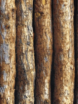 วอลเปเปอร์ลายไม้ AR-B34