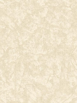 วอลเปเปอร์ ปูนเปลือย TL-F44