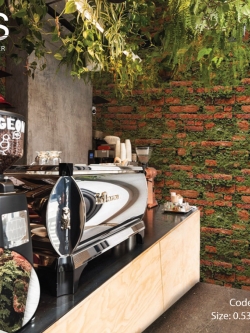 วอลเปเปอร์ลาย อิฐแดง ต้นมอส PPL-J56