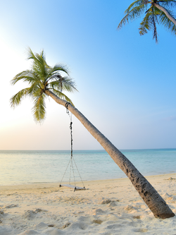 วอลเปเปอร์ภาพทะเล (สั่งผลิต)