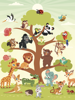 วอลเปเปอร์ห้องเด็ก ลายการ์ตูน (สั่งผลิต)