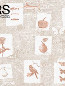 วอลเปเปอร์ ลายเก๋ๆ BOW-D26