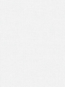 วอลเปเปอร์ พื้นสีเทาอ่อนสว่าง SOH-F113W