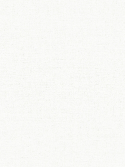 วอลเปเปอร์พื้นสีขาวเทกเจอร์ผิวปูนผนังบ้านผิวมัน BES2-B124W